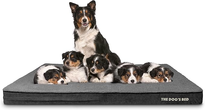 The Dog’s Bed Orthopedic Memory Foam Jumbo Dog Bed, XXXL Grey Plush, Pain Relief for Arthritis, Hip & Elbow Dysplasia, Post Surgery, Lameness Supportive, Waterproof Washable Cover, Veterinary Approved