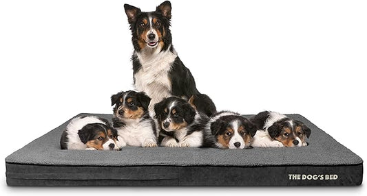 The Dog’s Bed Orthopedic Memory Foam Jumbo Dog Bed, XXXL Grey Plush, Pain Relief for Arthritis, Hip & Elbow Dysplasia, Post Surgery, Lameness Supportive, Waterproof Washable Cover, Veterinary Approved
