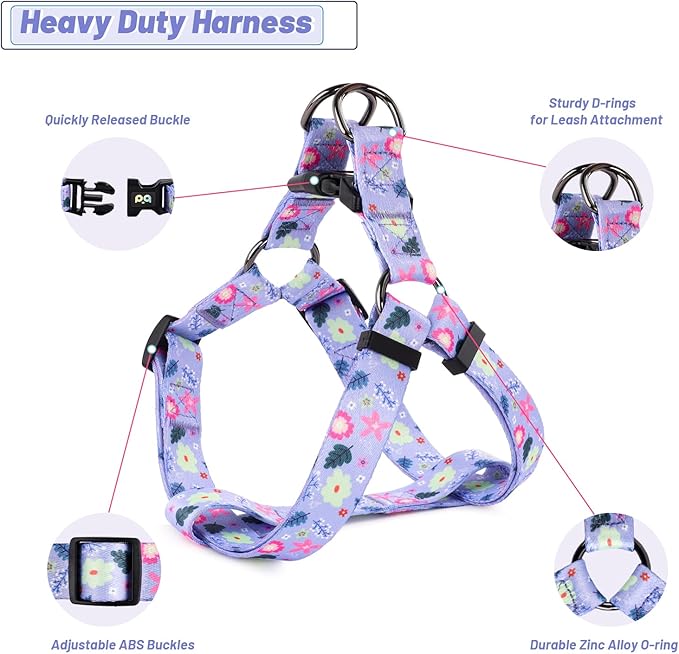 QQPETS Dog Harness Leash Set Adjustable Heavy Duty No Pull Halter Harnesses for Small Medium Large Breed Dogs Back Clip Anti-Twist Perfect for Walking