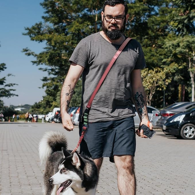 Roses&Poetry Hands Free Dog Leash for Medium Large Dogs Heavy Duty, No Pull Bungee Dog Running Waist Leash for Walking Training with Car Seatbelt 4-6FT