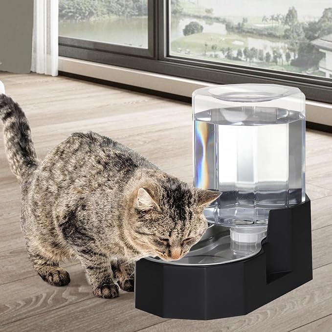 Sfozstra Gravity Water Bowl Dispenser : Automatic 5L Black Cat Stainless Steel Feeder with Specialized Brush - for Dogs with Joint Problems - Suitable in Garage Bedroom