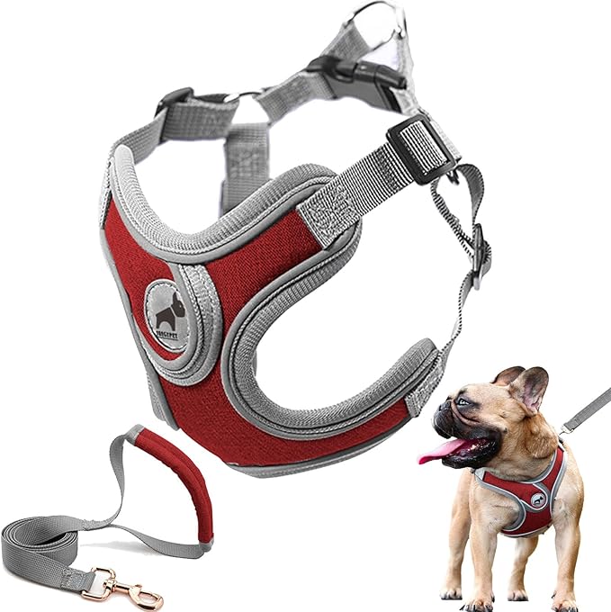 Dog Harness with Leash, Soft Adjustable Step in Reflective Strips Collars Harness Vest for Small Medium Dogs Training and Running (M, Christmas Red)
