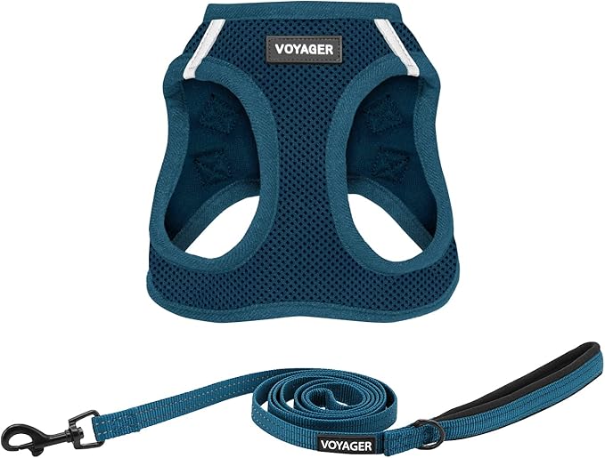 Voyager Step-in Air All Weather Mesh Harness and Reflective Dog 5 ft Leash Combo with Neoprene Handle, for Small, Medium and Large Breed Puppies by Best Pet Supplies - Harness Leash Set (Blue), L