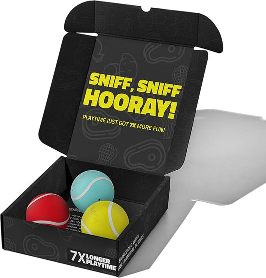 Playology Dog Toys | Rainbow of Scent Chew Toy Gift Box - Squeaky Chew Balls for Dogs | Peanut Butter, Chicken, & Beef Scented Toys - Easy to Clean and Made from Non Toxic Materials