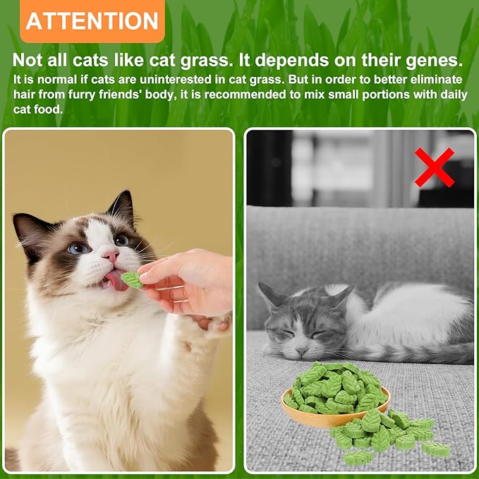 80g Cat Grass Treats for Indoor Cats, Freezed Drying Cat Grass Teething Stick for Hairball Remove Treatment Teeth Cleaning and Dental Care, Edible Kitty Chew Toy Snack