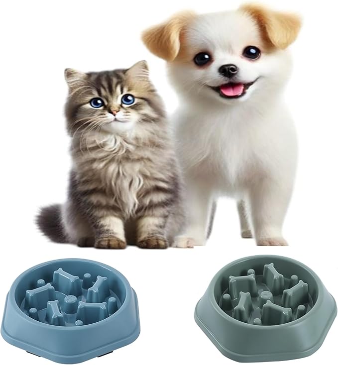 2 PCS Slow Feeder Dog Food Bowl – Bowl Designed to Slow Eating, Promotes Healthy Digestion and Prevents Bloat, Ideal for Cats and Dogs (SkyBlue - Green)