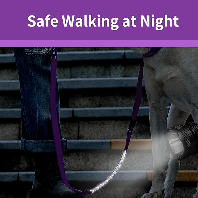 Reflective Dog Leash Fix Length, Waist for Dog Walking, Running for Small &Medium Dogs with Reflective Strips Purple
