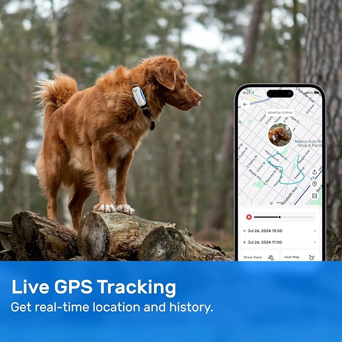 Dog GPS Tracker, Smart Waterproof Tracker with Real-Time Location, Escape Alerts, Activity Monitor, iOS & Android Compatible, for Dogs 40 lbs+ (White)