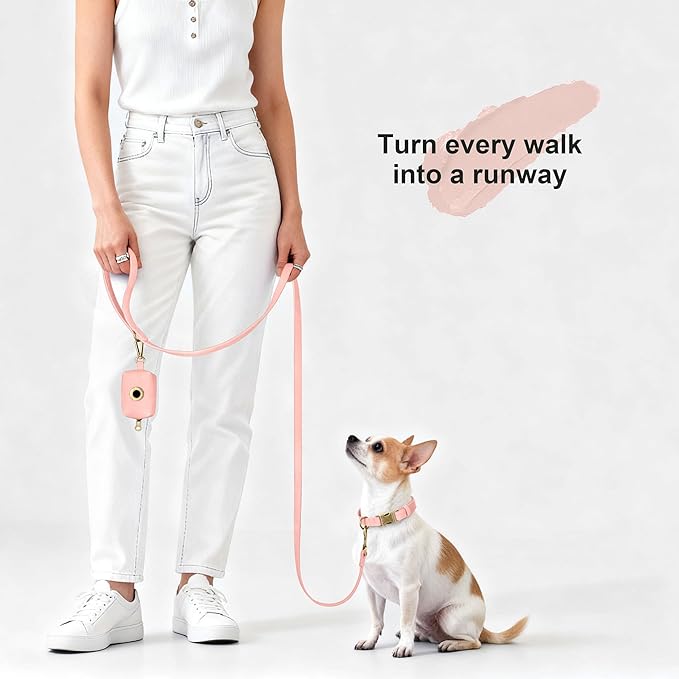 Didog Soft PU Leather Dog Collar, Stylish Quick Released Dog Collars for Small Dogs, Easy Clean Adjustable Pet Collar for Daily Walking, Pink, S Fit 10-16" Neck