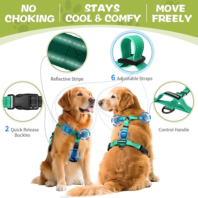 No-Pull Harness,Y-Shaped Design,Buckle-Neck Balance Harness with Reflective Stitching, Ideal for Dog Training and Night Walking, Padded Handle, Durable High-Tensile Nylon-Aqua Green-L