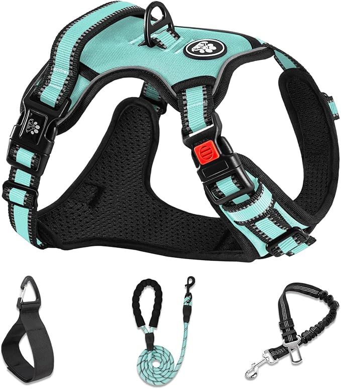 NESTROAD No Pull Dog Harness,Adjustable Oxford Dog Vest Harness with Leash,Reflective No-Choke Pet Harness with Easy Control Soft Handle for Large Dogs(Large,Turquoise)