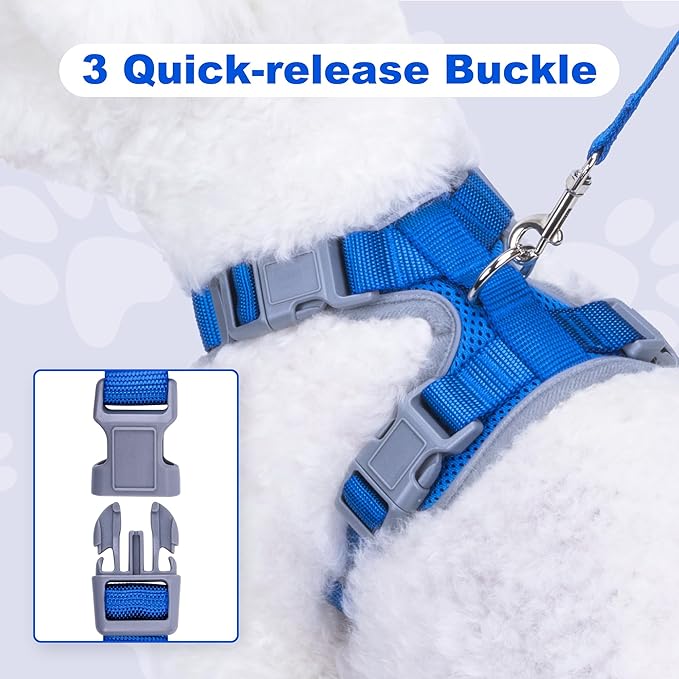 Small Dog Harness and Leash Set，No Pull Adjustable Pet Harness for Small Dogs ，Breathable Mesh Reflective Dog Vest Harness (Blue, XS)