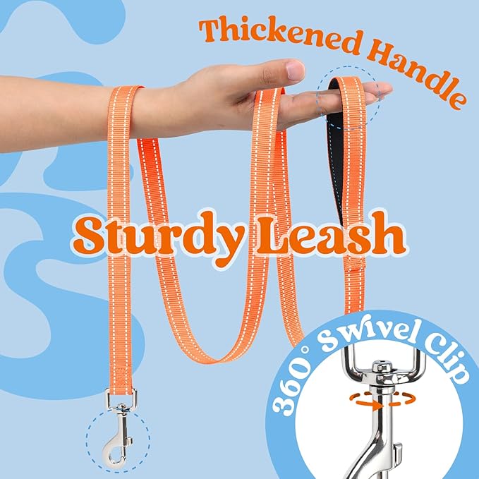 rabbitgoo Dog Harness Small Sized and Leash Set, Step-in Breathable Pet Harness, Soft Walking Reflective Puppy Vest for Small Dogs, Light Blue & Orange, M