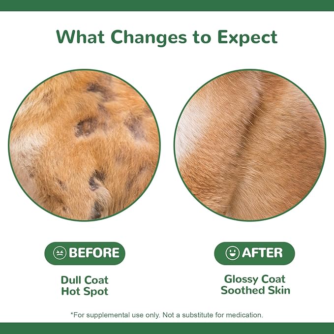 Dog Allergy Chews,Dog Itching Skin Relief with Probiotics Omega 3, Allergy Relief for Dogs Itching Licking Paws, Support Seasonal Allergy, Gut & Digestive Health and Immune System-30ct