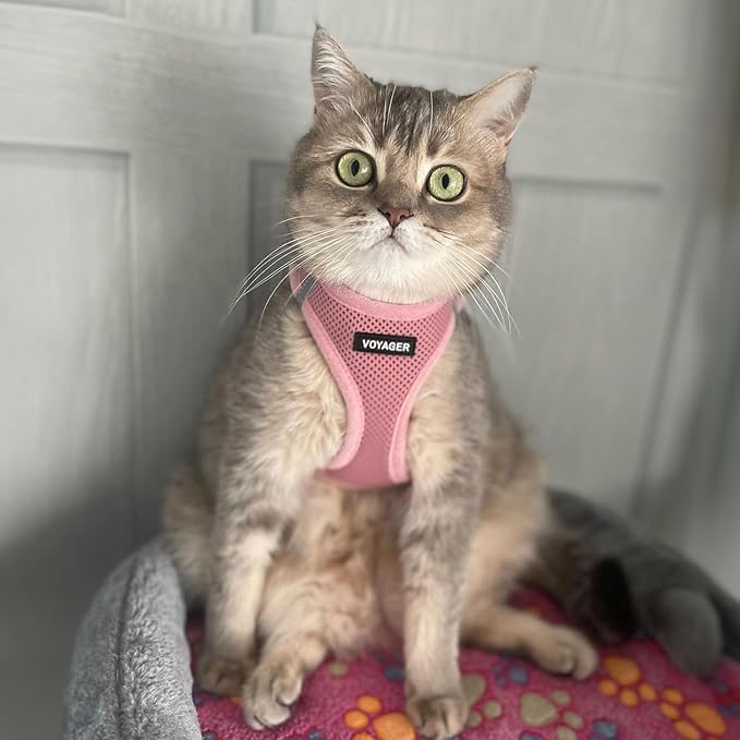Voyager Step-in Air Cat Harness - All Weather Mesh Step in Vest Harness for Small and Medium Cats by Best Pet Supplies - Harness Leash Set (Pink), XXS