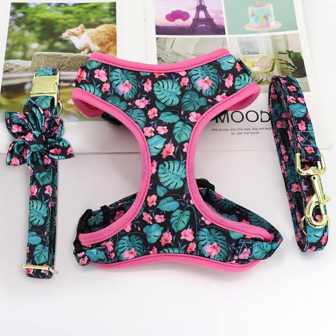 Beirui Cute Girl Dog Collars, Harnesses & Leashes Set - Adjustable Dog Collar and Leash Set with Flower - Soft Mesh Dog Vest Harness for Puppies Small Medium Dogs (Green,XS)