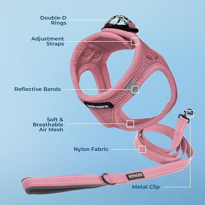 Voyager Step-in Air All Weather Mesh Harness and Reflective Dog 5 ft Leash Combo with Neoprene Handle, for Small, Medium and Large Breed Puppies by Best Pet Supplies - Set (Pink), S
