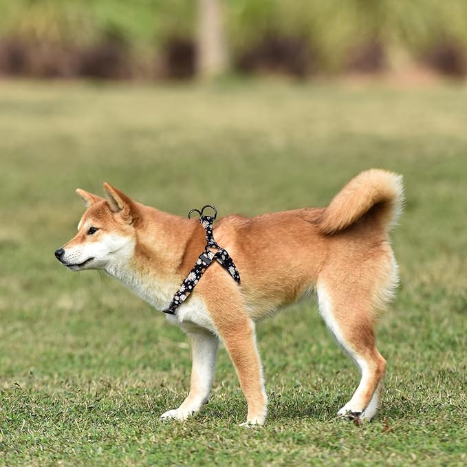 QQPETS Dog Harness Leash Set Adjustable Heavy Duty No Pull Halter Harnesses for Small Medium Large Breed Dogs Back Clip Anti-Twist Perfect for Walking (S(14"-20" Chest Girth), White Daisy)