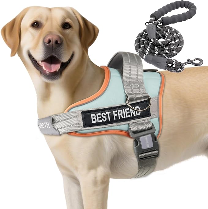 AUROTH Dog Harness and Leash Set, Soft Padded Service Dog Vest with 5.25FT Dog Leash, No Choke, Easy On Pet Vest, Adjustable Reflective No Pull Pet Vest Medium Sized Dog, Easy Walking and Training