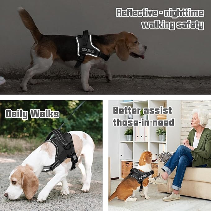 AUROTH Dog Harness and Leash Set, Soft Padded Dog Vest with 5.25FT Dog Leash, No Choke, Easy On Pet Vest, Adjustable Reflective No Pull Dog Harness for Large Dogs, Easy Walking and Training