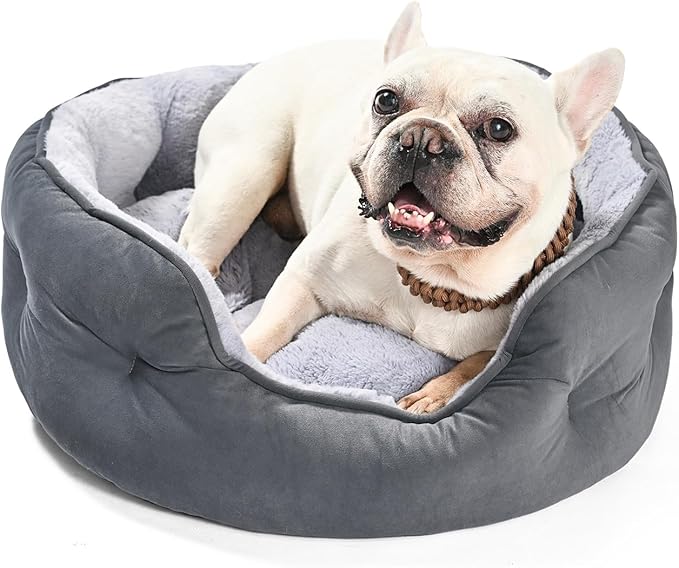Amazon Basics Round Dog Bed for Medium Dogs, Cat Beds for Indoor Cats, Washable Pet Bed with Soft Plush Cushion, Anti-Slip Bottom, 25x21x8 Inches, Gray
