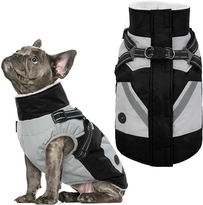 IECOii Dog Winter Coat Waterproof - Black, Medium - Dog Coat with Harness Built in for Medium Dogs, Thermal Warm Fleece Lined with Zip Up Cold Weather Jacket, Reflective Snowsuit for Outdoor Hiking