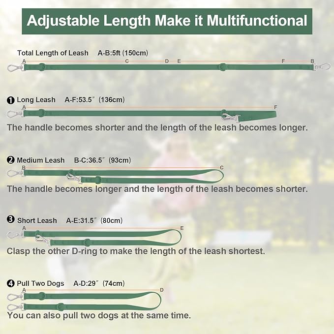 Wisedog Waterproof Dog Leash – 5ft/6ft Adjustable with 2 Metal Swivel Hooks, Easy to Clean Dog Leashes for Small, Medium, Large Breed Dogs (Pine Green M)