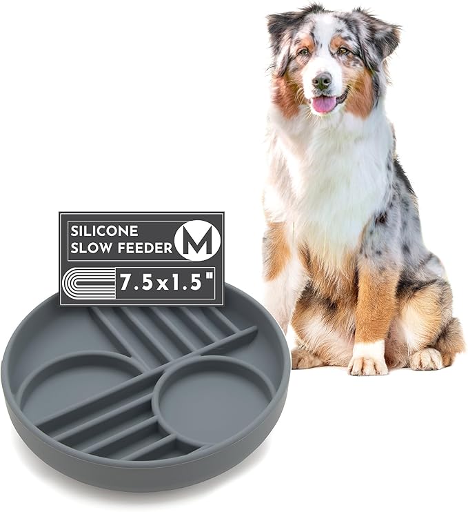 Should We Go? Slow Feeder for Dogs & Puppies, The Slowdown Bowl Silicone Slow Eating, Modern Lick Mat Design, Reduces Gulping, Fits 2 Cups, 7.5” Across x 1.5” Tall, Mealtime Challenge, Medium-Charcoal