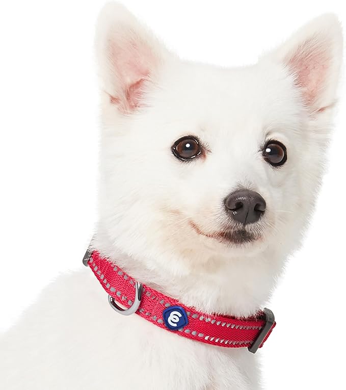 Blueberry Pet Essentials Matching Dog Collar & Leash Set | Pastel Reflective Adjustable Collar with 5 ft Lead for Medium Dogs, Very Berry