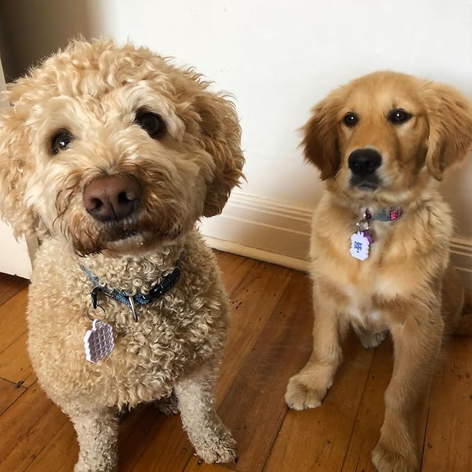 NATPAT Pet Zen Calming Patches + Pet Locket for Dogs and Cats - Non-Medicated Effective Stress Relief Patches with Safe, Durable Locket