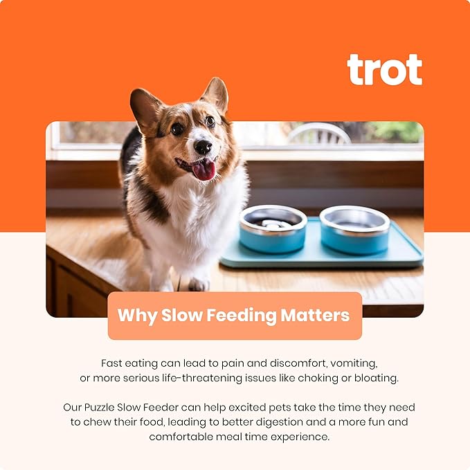 Trot Pets Elevated Dog Bowls | Stainless Steel Raised Bowl Set for Small, Medium, or Large Dogs | Non-Slip Food and Water Slow Feeder | Durable, BPA-Free, Anti-Skid, Dishwasher Safe (Sky, Medium)