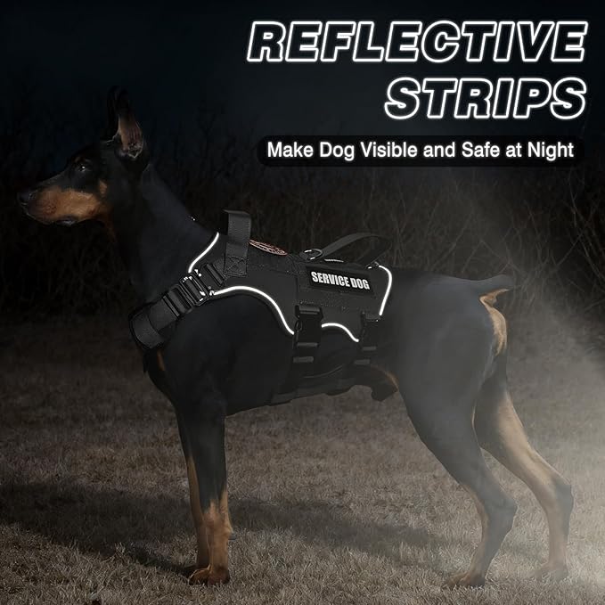 Tactical Service Dog Vest and Leash Set,Heavy Duty Harness with Metal Buckles for Large Dogs,Adjustable No Pull Pet Vest with 10 Patches,for Training Working Hiking,Black XL