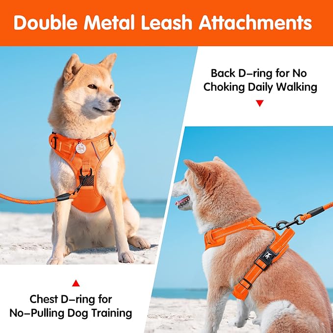 PoyPet No Pull Dog Harness and 5 Feet Leash Set, Release on Neck Reflective Adjustable Pet Vest, Front & Back 2 D-Ring and Soft Padded Pet Harness with Handle for Small to Large Dogs(Orange,M)