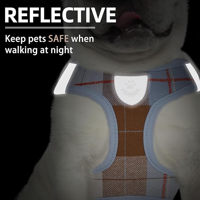 PUPTECK Adjustable Dog Harness Collar and Leash Set Step in No Pull Pet Harness for Small Medium Dogs Puppy and Cats Outdoor Walking Running, Soft Mesh Padded Reflective Vest Harnesses, BlueBrown XS