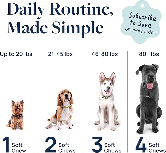 Veterinary Formula Gut Health Supplement for Dogs – Vet-Formulated Probiotic Chews with Digestive Enzymes & Fiber – Smart Vitality Supports Digestive Health, Gut Balance & Stool Quality, 60 Soft Chews