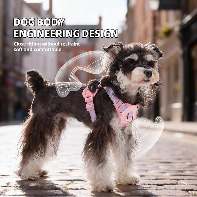 Small Dog Harness and Leash Set, Breathable Mesh Puppy Harness, Adjustable Dog Harness for Small Medium Large Dogs, No-Pull Pet Harness for Daily Walking (Pink, Medium)