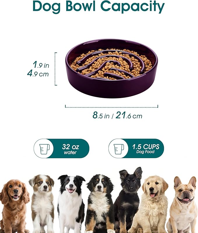vancasso Slow Feeder Dog Bowl, 1.5 Cup Ceramic Slow Feeding Food Dish for Small and Medium Breed, Puzzle Dog Food Bowl for Fast Eater, Dark Purple