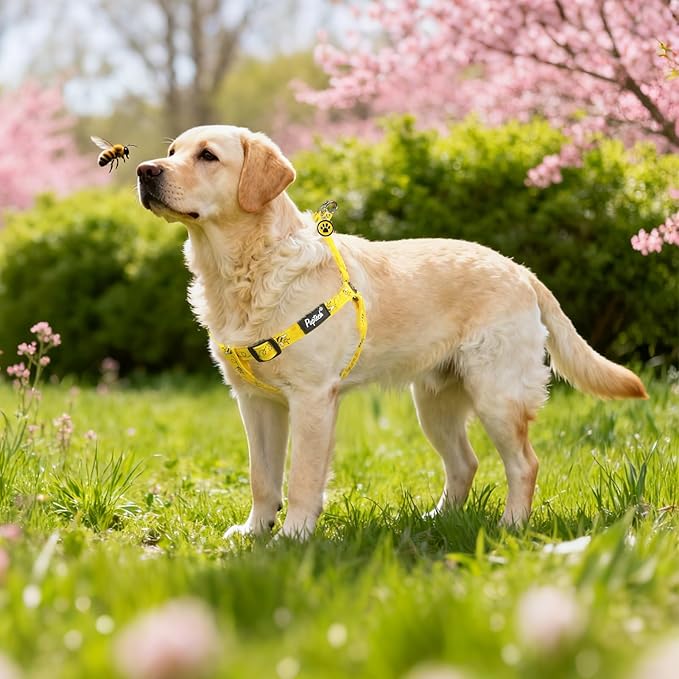 PUPTECK No Pull Dog Harness Soft Adjustable Basic Nylon Step in Puppy Vest Outdoor Walking with ID Tag, Yellow Bee, L