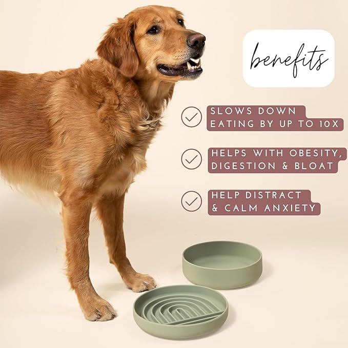 Should We Go? Slow Feeder for Dogs & Puppies, The Slowdown Bowl Silicone Slow Eating, Modern Lick Mat Design, Reduces Gulping, Fits 2.5 Cups, 9.5” Across x 1.5” Tall, Mealtime Challenge, Large-Blush
