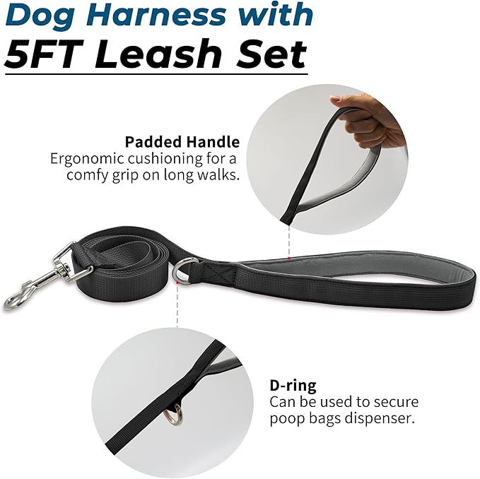 Escape Proof Dog Harness and Leash Set, Lightweight Dog Harness with Lift and Assist Handle, No Pull Reflective Pet Vest for Small Medium Dogs, Ideal for Puppy Walking and Training (Black, M)