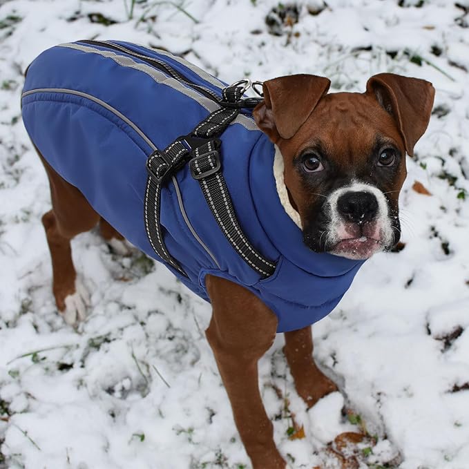 Dog Winter Coat with Harness Built in Warm Puffer Dog Jackets for Small Medium Large Dogs Windproof Waterproof Outfit with Plush Lining and Reflective Stripes (Blue, M)