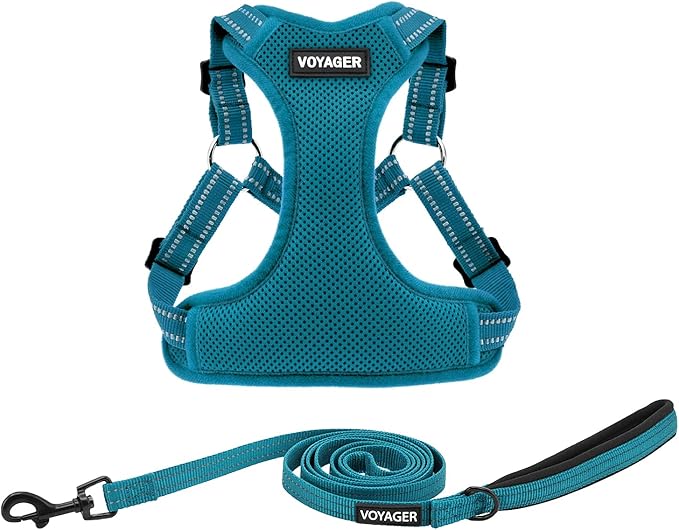 Best Pet Supplies Voyager Mesh Dog Breathable Harness Reflective Stitching, All Weather Adjustable for Walking Training, or Running - Heavy Duty & Durable, Harness Leash Set (Turquoise), L