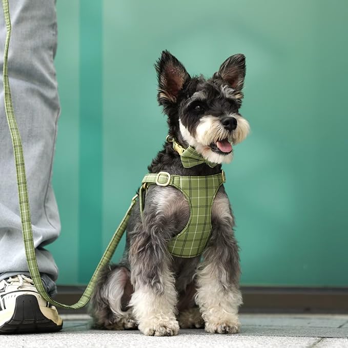 Beirui Cute Extra Small Dog Harness Collar and Leash Set with Bowtie, Soft Adjustable Plaid Puppy Harness for Small Sized Dogs Cats Walks Parties and Photoshoots(Green,XS:Chest 13-18")