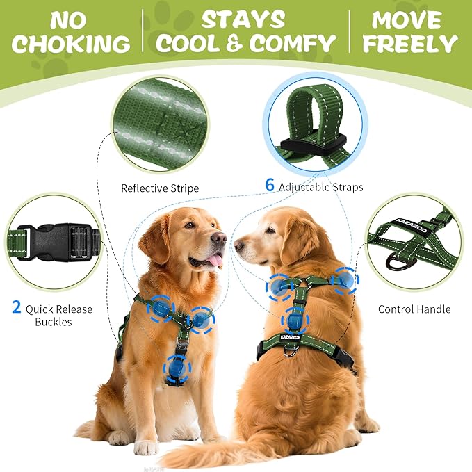 No-Pull Harness,Y-Shaped Design,Buckle-Neck Balance Harness with Reflective Stitching, Ideal for Dog Training and Night Walking, Padded Handle, Durable High-Tensile Nylon-Green-S
