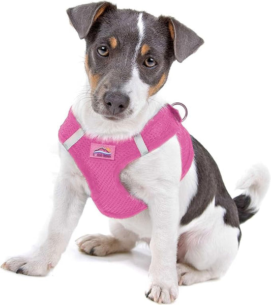 Doggie Design Dog Harness - No Choke Dog Harness, Dog Vest, Mesh Polyester, Pet Harness, Simple Step in and Go Design, Harness for Dog - Candy Pink, S