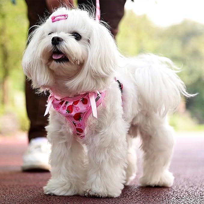 PUPTECK Dog Harness and Leash Set Small Sized, Step in No Pull Adjustable Puppy Cat Harness Reflective Pet Vest