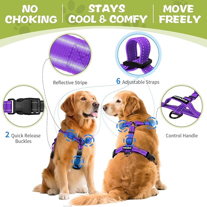 No-Pull Harness,Y-Shaped Design,Buckle-Neck Balance Harness with Reflective Stitching, Ideal for Dog Training and Night Walking, Padded Handle, Durable High-Tensile Nylon-Purple-M