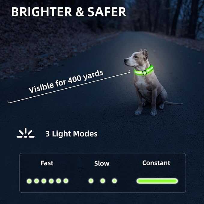 LED Dog Collar for Small Dogs Cats - Fully Waterproof & Adjustable Glow Collar - USB-C Rechargeable for Night Walking, Safety - Flashing Lighted Collar for Dogs(Green,XS)