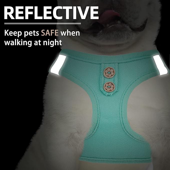 PUPTECK Dog Harness and Leash Set for Small Medium Dogs No Pull Step-in Soft Mesh Puppy Cat Vest Harnesses Reflective at Night, Denim Green S