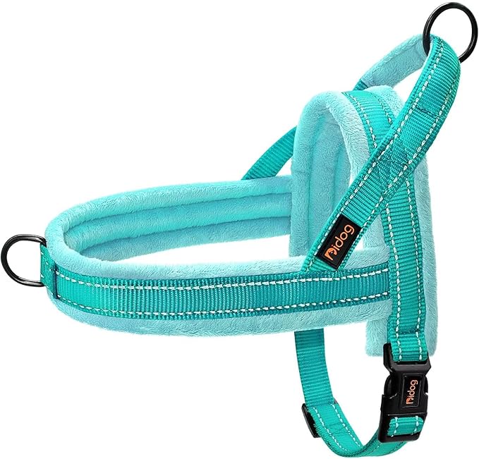 Didog Soft Flannel Padded Dog Vest Harness,Escape Proof/Quick Fit Reflective Dog Strap Harness, Easy for Training Walking(XS:Chest 15-18", Teal)